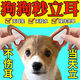 狗狗立耳貼器神器德牧杜賓馬犬幼犬小型犬豎耳器輔助柯基矯正立耳 一盒裝體驗(yàn)裝