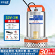 壹玖捌捌直流潛水泵12V24V48V60V72V農用電動(dòng)車(chē)大功率小型高揚程抽水泵 【1寸3米線(xiàn)】12V/280W/特價(jià)款