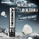 川崎（KAWASAKI）羽毛球比賽訓(xùn)練耐打鵝毛球10個(gè)裝疾氫10號(hào) 77#