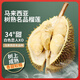 土產(chǎn)邦白色戀人XO榴蓮 液氮冷凍鎖鮮飽滿(mǎn)多肉軟糯甜蜜新鮮 當季現摘現發(fā) 2-2.5斤/個(gè)