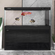 閩江（minjiang）大型魚(yú)缸客廳家用水族箱底過(guò)濾輕奢辦公室超白玻璃免換水落地魚(yú)缸 經(jīng)典黑 長(cháng)148.7寬46高153【豪華大禮包】