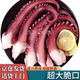 大脆口魷魚須生鮮活八爪魚冷凍章魚足新鮮腳海鮮火鍋食材章魚須 三斤裝【章魚足】