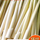 新鮮蒲菜野菜淮安特產(chǎn)現(xiàn)摘現(xiàn)發(fā)蒲筍蒲兒菜凈菜酒店專供 五斤