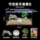 Barbarous Growth爬寵亞克力飼養盒爬蟲(chóng)守宮寄居蟹箱蜥蜴蛇角蛙蜘蛛蝸牛甲蟲(chóng)生態(tài)缸 守宮新手套餐B