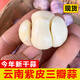 辰實(shí)【新干蒜】新鮮紫皮大蒜 大蒜頭 云南獨頭蒜 腌制臘八蒜糖醋蒜 9斤（三丫蒜）