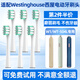 皓衛適配Westinghouse西屋電動(dòng)牙刷頭W1/WT-504L/Y/G成人通用替換 白色清潔型6支裝