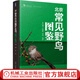 北京常見(jiàn)野鳥(niǎo)圖鑒 李兆楠 王瑞卿 李強 形態(tài)快速分類(lèi)檢索 自然環(huán)境 實(shí)用的觀(guān)鳥(niǎo)口袋工具書(shū) 北京野鳥(niǎo)科普圖鑒書(shū)籍