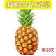 果農俠海南金鉆鳳梨當季新鮮無(wú)眼鳳梨酸甜爽口熱帶水果  9斤【4-6個(gè)】
