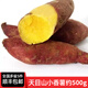 綠食者 天目山小香薯約500g 新鮮蔬菜小番薯紅皮黃心紅薯地瓜香甜軟糯