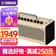 雅馬哈THR10II WL音箱電吉他樂(lè )器YAMAHA音響戶(hù)外便攜款音箱戶(hù)外藍牙 THR10II【20W/通用款】