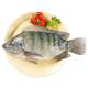鮮活羅非魚600-700g/條