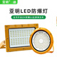 亞明照明LED防爆燈加油站倉(cāng)庫(kù)車間化工廠防腐車間投光燈隔爆泛光射燈照明 100W方形-防爆高配-旗艦款免維護(hù)