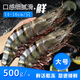 海速達 越南鮮活船凍黑虎蝦凈重500g23-25只大蝦新鮮速凍老虎蝦海鮮水產(chǎn)