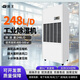 銳王除濕機/抽濕機168升~248升 別墅地下室車(chē)間倉庫大功率商用工業(yè)除濕器 248L/天 400-500㎡ 直排款