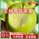 【順豐】青森蘋(píng)果王林水蜜桃蘋(píng)果日本品種新鮮水果脆甜青蘋(píng)果X5 3斤【精選裝】