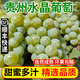 【順豐】貴州現(xiàn)摘新鮮水晶葡萄 鮮果酸甜多汁 5斤