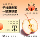 沁煦【順豐包郵】東北龍豐果大秋果小蘋(píng)果海棠果沙果新鮮當季孕婦水果 2斤 60mm-70mm 【嚴選大果】