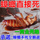 蟑螂特效藥強力除蟑餌劑滅蟑殺蟑餌劑蟑螂膠餌家用廚房小強一窩端 五包【小面積選這款】
