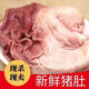 (新店促銷)新鮮豬肚 豬肚 豬雜 豬胃 生豬肚 干凈 速凍發(fā)貨 6只豬肚【6-7兩左右/只】