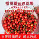 正宗釜山88玲瓏果 5斤千禧小番茄冰糖千禧果超甜櫻桃小西紅柿 ww 5 斤
