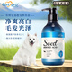 CAREXPRO 格倫仕寶狗狗沐浴露籽粹氨基酸寵物香波祛味美毛亮毛蓬松除菌柔順保濕浴液 辣木籽籽粹-白毛專用500ml