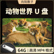動(dòng)物世界U盤(pán)紀錄片高清視頻mp4兒童科普百科電視機優(yōu)盤(pán)趙忠祥解說(shuō) 動(dòng)物世界U盤(pán)