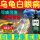 烏龜白眼病藥專(zhuān)用白眼清眼藥水眼睛腫睜不開(kāi)白眼小巴西龜用藥紅眼 一瓶裝【白眼清】 烏龜白眼清