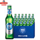 青島啤酒（TSINGTAO）禧罐福罐 黃啤白啤黑啤 整箱裝精釀啤酒 原箱發(fā)貨 嶗山啤酒精品箱啤 316mL 24瓶