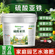 智綠硫酸亞鐵花肥料喜酸植物梔子花茶花杜鵑花桂花水溶肥防黃葉家用肥 硫酸亞鐵桶裝5斤