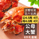 【活蟹】乾澄大閘蟹現貨 公4.5兩母4.0兩 8只4對 特大鮮活螃蟹河蟹水產(chǎn)海鮮禮盒裝
