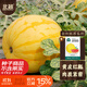 北蔬 金玲瓏西瓜種子種苗黃皮紅肉西瓜水果種籽 金玲瓏西瓜種子約20粒