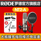 RODE 羅德麥克風(fēng) NT2-A 大振膜多指向收音模式專業(yè)錄音電容直播話筒麥克風(fēng) NT2A 標(biāo)配【送桌面支架】