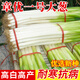 種菜記 大蔥種子山東大蔥 章丘大蔥鐵桿大蔥王 大梧桐 章優(yōu)一號(hào) 基地用 章優(yōu)一號(hào)200克桶裝