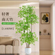 臨雅南天竹仿真綠植室內大型盆栽高端輕奢假花樹(shù)客廳仿生植物落地擺件 1.8米丨四桿南天竹+半圓形白盆