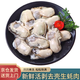 海升東 生蠔肉 鮮活生蠔現剝生蠔肉新鮮牡蠣肉蠣蝗去殼純蠔仔肉海鮮水產(chǎn) 去殼生蠔肉5斤裝 30-35粒/斤
