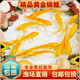 寵小俠大錦鯉魚(yú)活魚(yú)冷水淡水魚(yú)觀(guān)賞魚(yú)金魚(yú)小型好養耐活紅鯉魚(yú)黑白紅黃魚(yú) 4條黃金錦鯉7-9cm