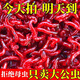 釣魚(yú)活餌紅蟲(chóng)鮮活紅蟲(chóng)特大號掛鉤公蟲(chóng)批發(fā)魚(yú)餌料喂魚(yú)活餌紅蟲(chóng) 發(fā)順豐+特大號公蟲(chóng)30克