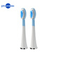 博皓（prooral）電動牙刷頭 A2936B【T41/T42適用】