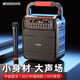 山水（SANSUI）無線藍牙音響廣場舞戶外k歌大功率大音量小喇叭小型手提便攜家用播放器擴音器收款音箱 旗艦版單麥【立體環(huán)繞式音效】