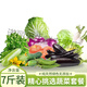 皓謙  蔬菜混搭豪華大禮包15斤裝約10種以上蔬菜禮包混搭 蔬菜組合 蔬菜實(shí)惠包【7斤】