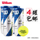 威爾勝（Wilson）專(zhuān)業(yè)比賽訓練罐裝網(wǎng)球 WR8208802 上海大師賽款4罐