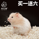 長(zhǎng)毛可愛(ài)金絲熊活體倉(cāng)鼠米熊卷毛熊純銀熊一公一母親人脫敏次日達(dá) 長(zhǎng)毛金絲熊 妹妹