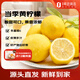 趣嘗鮮 黃檸檬6粒裝 單果100g+生鮮水果源頭直發(fā)包郵
