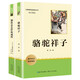 駱駝祥子 鋼鐵是怎樣煉成的 七年級下冊初中語(yǔ)文教材名著(zhù)導讀推薦閱讀書(shū)目 初一中學(xué)生課外閱讀名著(zhù)套