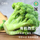 有機西蘭花蔬菜新鮮新鮮蔬菜花椰菜沙拉鮮嫩爽脆順豐1500g 1500g