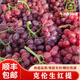 鵬翔宇【順豐包郵】克倫生無(wú)籽紅提葡萄脆甜紅寶石提子當季新鮮孕婦水果 凈重4斤【店長(cháng)推薦】甄選鮮果