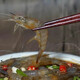 【套餐】醉白米蝦醉香螺貓眼螺嗆蝦肉嫩開(kāi)罐即食甜辣下酒250g/罐 250g醉白米蝦 2罐