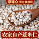 草味眾貴州新貨小薏仁米糯薏米仁新鮮興仁農(nóng)家新貨煲粥五谷雜糧茯苓山藥 小薏米仁500克