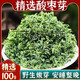 北京同仁堂官方店旗艦特級酸棗芽茶泰山野生酸棗葉茶睡眠茶葉子山酸棗牙茶 新貨酸棗芽100克[頭采嫩芽茶]