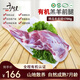 千戶侯 右玉有機(jī)羊肉 生鮮散養(yǎng)羔羊 新鮮羊后腿羊前腿 燒烤火鍋清真食品 羊前腿3.4斤 山地散養(yǎng)